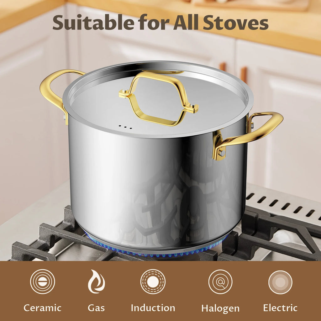 6/8/12 QT Stainless Steel Stockpot with Lid,