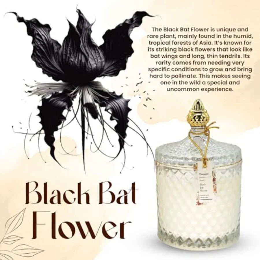 Luxury Scented Candle Gift Rare Fragrance in Elegant Glass Jar,